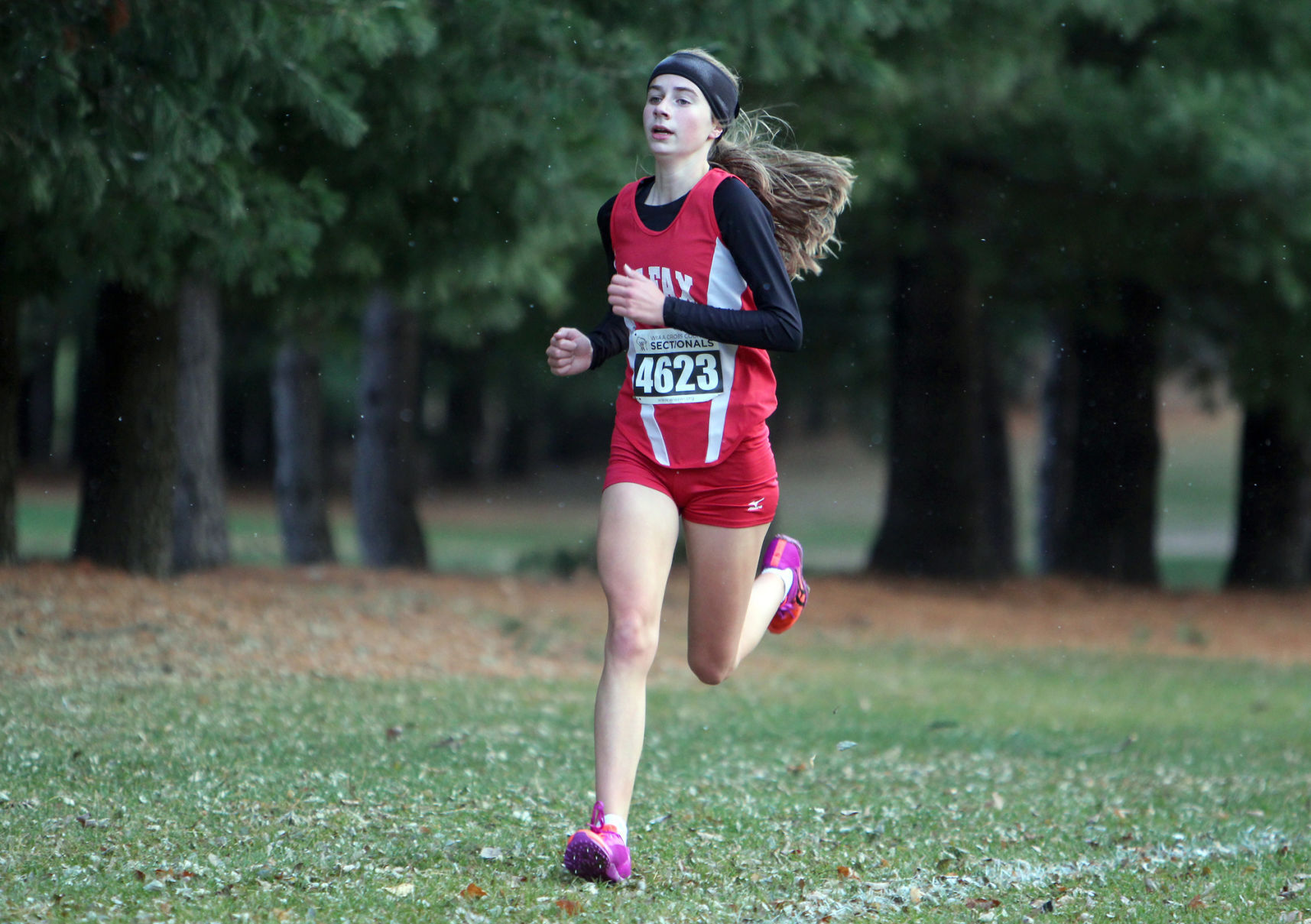 Division 3 Cross Country Sub-Sectional at Colfax 10-19-20
